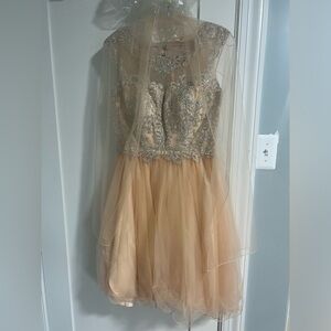 Champagne and Silver Party Dress